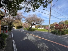 【神奈川県/鎌倉市鎌倉山】鎌倉市鎌倉山1丁目　古家付き土地 