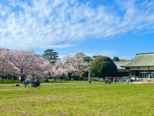【東京都/小平市花小金井南町】小平市花小金井南町3丁目 売地 
