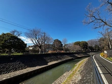 【東京都/杉並区成田東】杉並区成田東2丁目　土地 