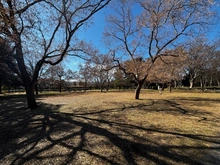 【東京都/杉並区成田東】杉並区成田東2丁目　土地 