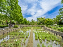 【東京都/足立区東和】足立区東和5丁目土地 