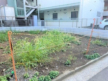 【神奈川県/横浜市鶴見区佃野町】横浜市鶴見区佃野町　土地 