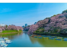 【東京都/新宿区市谷加賀町】新宿区市谷加賀町二丁目　売地 