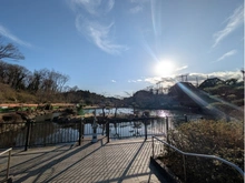 【神奈川県/横浜市旭区南本宿町】横浜市旭区南本宿町　古家付き土地 