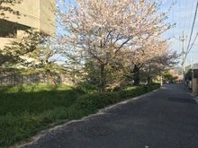 【京都府/京都市左京区松ケ崎桜木町】京都市左京区松ケ崎桜木町　土地 