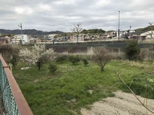 【京都府/京都市西京区大枝中山町】京都市西京区大枝中山町　土地 