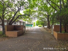 【千葉県/柏市藤心】柏市藤心1丁目　土地 