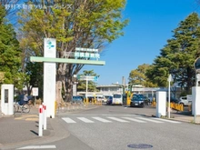【神奈川県/相模原市南区御園】相模原市南区御園5丁目　土地 