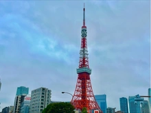 【東京都/港区三田】三田2丁目売地 