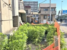 【東京都/葛飾区四つ木】葛飾区四つ木4丁目　土地 