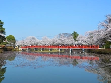 【埼玉県/さいたま市岩槻区仲町】さいたま市岩槻区仲町2丁目 