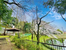 【神奈川県/川崎市麻生区王禅寺東】川崎市麻生区王禅寺東5丁目　中古戸建 