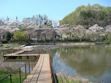 【神奈川県/横浜市青葉区柿の木台】横浜市青葉区柿の木台　中古戸建て 