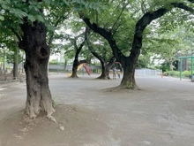 【東京都/目黒区八雲】目黒区八雲　戸建 