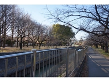 【東京都/杉並区成田東】杉並区成田東1丁目　新築戸建　7号棟 