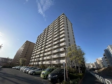 【千葉県/松戸市新松戸】サンライトパストラル八番街A棟 