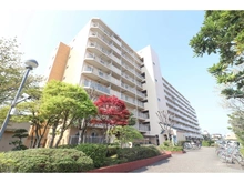 【千葉県/流山市南流山】コープ野村南流山弐番街1号棟 