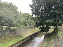 【東京都/杉並区成田西】L・フォレスト杉並 