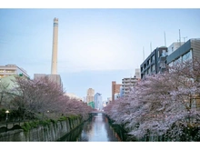 【東京都/目黒区青葉台】タワーテラス目黒青葉台 