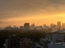 【東京都/渋谷区富ヶ谷】ブリリアタワー代々木公園クラッシィ 