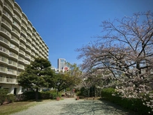 【神奈川県/横浜市西区平沼】パークハイツ横浜 