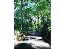 【東京都/目黒区下目黒】目黒パビリオン 