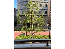 【東京都/新宿区新宿】エクセレント新宿文化センター通り 