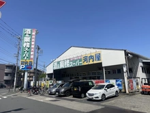 【神奈川県/川崎市中原区井田杉山町】クレッセント元住吉 
