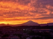 【神奈川県/横浜市栄区本郷台】コスモ戸塚リベラヒルズ A棟 