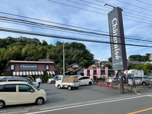 【神奈川県/川崎市宮前区南野川】藤和ライブタウン鷺沼東ステージI 