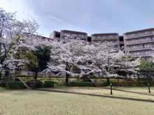 【神奈川県/横浜市都筑区荏田東】アークガーデンひびきの街　4番館 