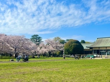 【東京都/小平市花小金井南町】シティテラス小金井公園 D棟 