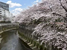 【東京都/板橋区加賀】アトラス加賀 