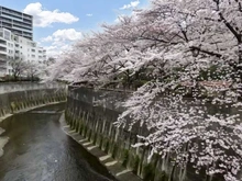 【東京都/板橋区加賀】プラウドシティ加賀学園通り 