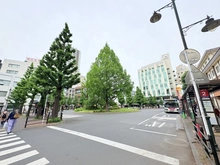 【東京都/三鷹市上連雀】クラッシィハウス三鷹 