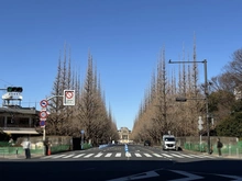 【東京都/港区南青山】アエリア南青山 