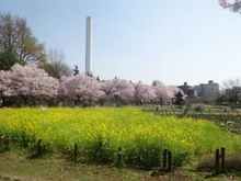 【東京都/世田谷区八幡山】上北沢南シティハウス 