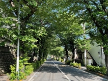【東京都/世田谷区桜丘】グラーサ経堂桜丘 