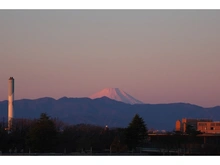 【東京都/世田谷区桜】グランベルク馬事公苑 