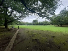 【埼玉県/蕨市塚越】グリーンライフ蕨市民公園 