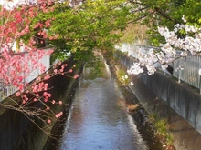 【神奈川県/川崎市中原区上小田中】ローズハイツ武蔵小杉 