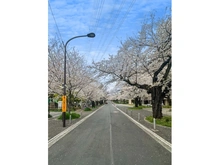 【東京都/武蔵野市桜堤】桜堤庭園フェイシア S棟 