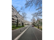 【東京都/武蔵野市桜堤】桜堤庭園フェイシア S棟 