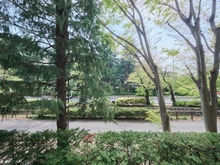【東京都/武蔵野市桜堤】桜堤庭園フェイシア S棟 