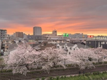 【埼玉県/川口市朝日】ブランシエラ川口 