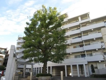 【東京都/府中市押立町】グリーンハイツ車返南 2号棟 