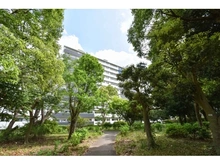 【神奈川県/横浜市戸塚区俣野町】県ドリームハイツ壱七号棟 