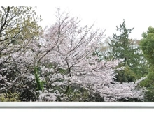 【神奈川県/横浜市戸塚区前田町】グランドメゾン東戸塚 2番館 