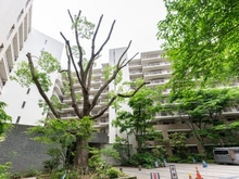 【神奈川県/横浜市戸塚区前田町】グランドメゾン東戸塚 2番館 