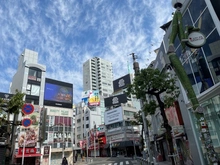 【大阪府/大阪市西区南堀江】エステムコート南堀江IVレイズ 
